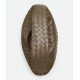 BV Hop - Pinecone BV Hop - Pinecone