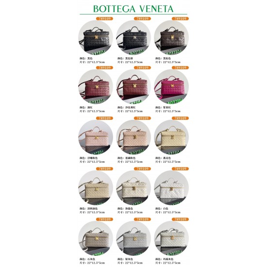 Bottega Veneta Bang Bang Vanity Case (789109) - 27+ Colors Available