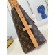 LV Monogram CarryAll PM - Bag [Budget Edition]