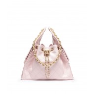 CHANEL 25 Handbag
