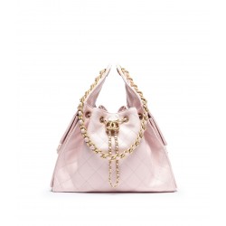 CHANEL 25 Handbag