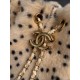 26 Métiers d'Art Shearling Mini Chain Bag — Matthew's Debut Collection
