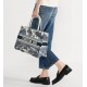 Dior viera Medium Book Tote