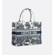 Dior viera Medium Book Tote