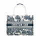 Dior viera Medium Book Tote
