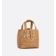 Dior Toujours Vertical Tote Bag Small