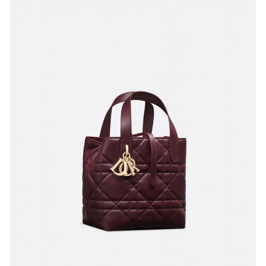 Dior Toujours Vertical Tote Bag Small
