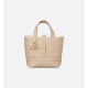 Dior Toujours Vertical Tote Bag Small Dior Toujours Vertical Tote Bag Small