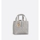 Dior Toujours Vertical Tote Bag Small