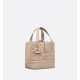 Dior Toujours Vertical Tote Bag Small