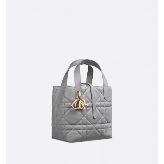 Dior Toujours Vertical Tote Bag Small
