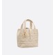 Dior Toujours Vertical Tote Bag Small