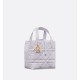 Dior Toujours Vertical Tote Bag Small