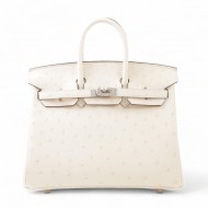 HERMÈS Birkin 25 Nata (I2) Ostrich Palladium hardware W 