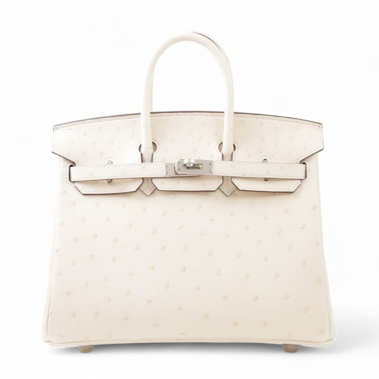 HERMÈS Birkin 25 Nata (I2) Ostrich Palladium hardware W 