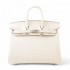 HERMÈS Birkin 25 Nata (I2) Ostrich Palladium hardware W 