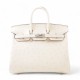 HERMÈS Birkin 25 Nata (I2) Ostrich Palladium hardware W 