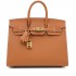 Hermès Birkin 25cm｜Gold Epsom Leather with Gold Hardware｜Top Handle Bag
