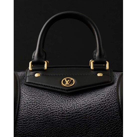Louis Vuitton Biker Handbag