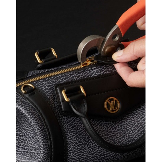 Louis Vuitton Biker Handbag