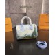 Louis Vuitton X Jeff Koons Van Gogh Speedy