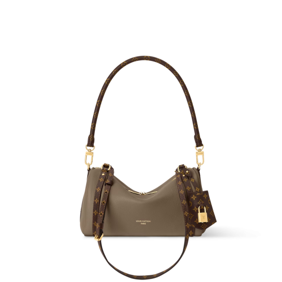 Louis Vuitton Express Handbag