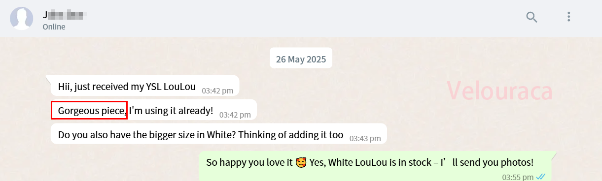 WhatsApp chat 8